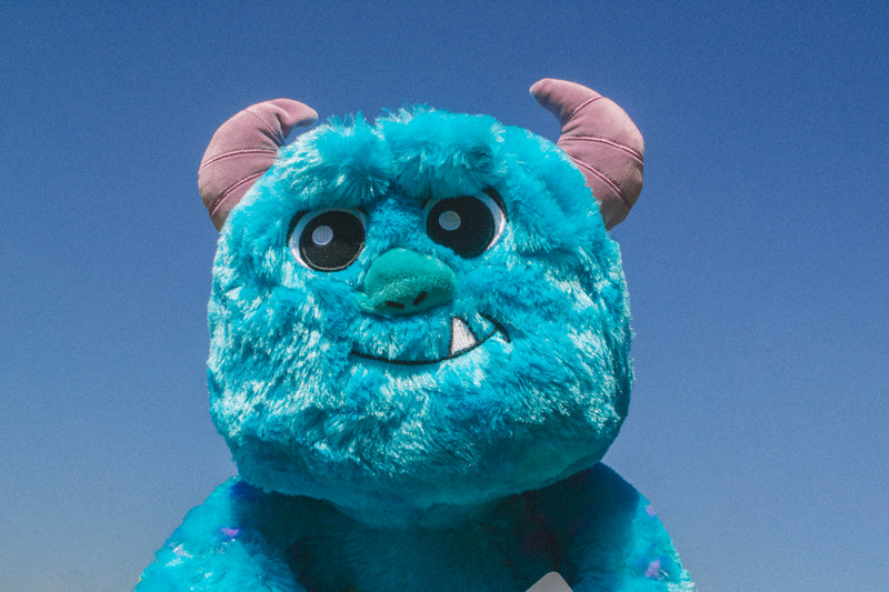 Pelúcia Gigante - Sulley (45cm)